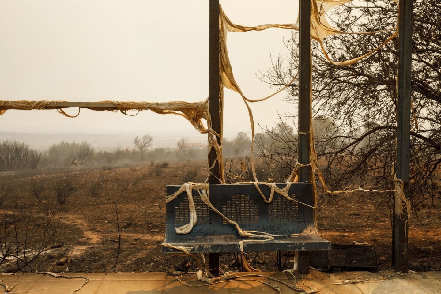 Καταστροφή από το πύρινο μέτωπο στην Αλεξανδρούπολη ©Konstantinos Tsakalidis / SOOC