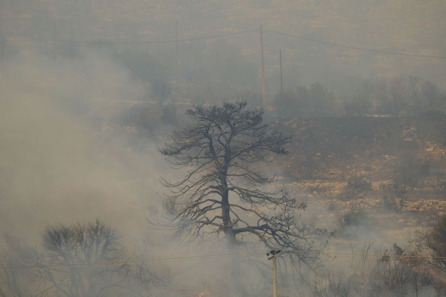 Πύρινο μέτωπο στη Φυλή ©Alexandros Michailidis / SOOC