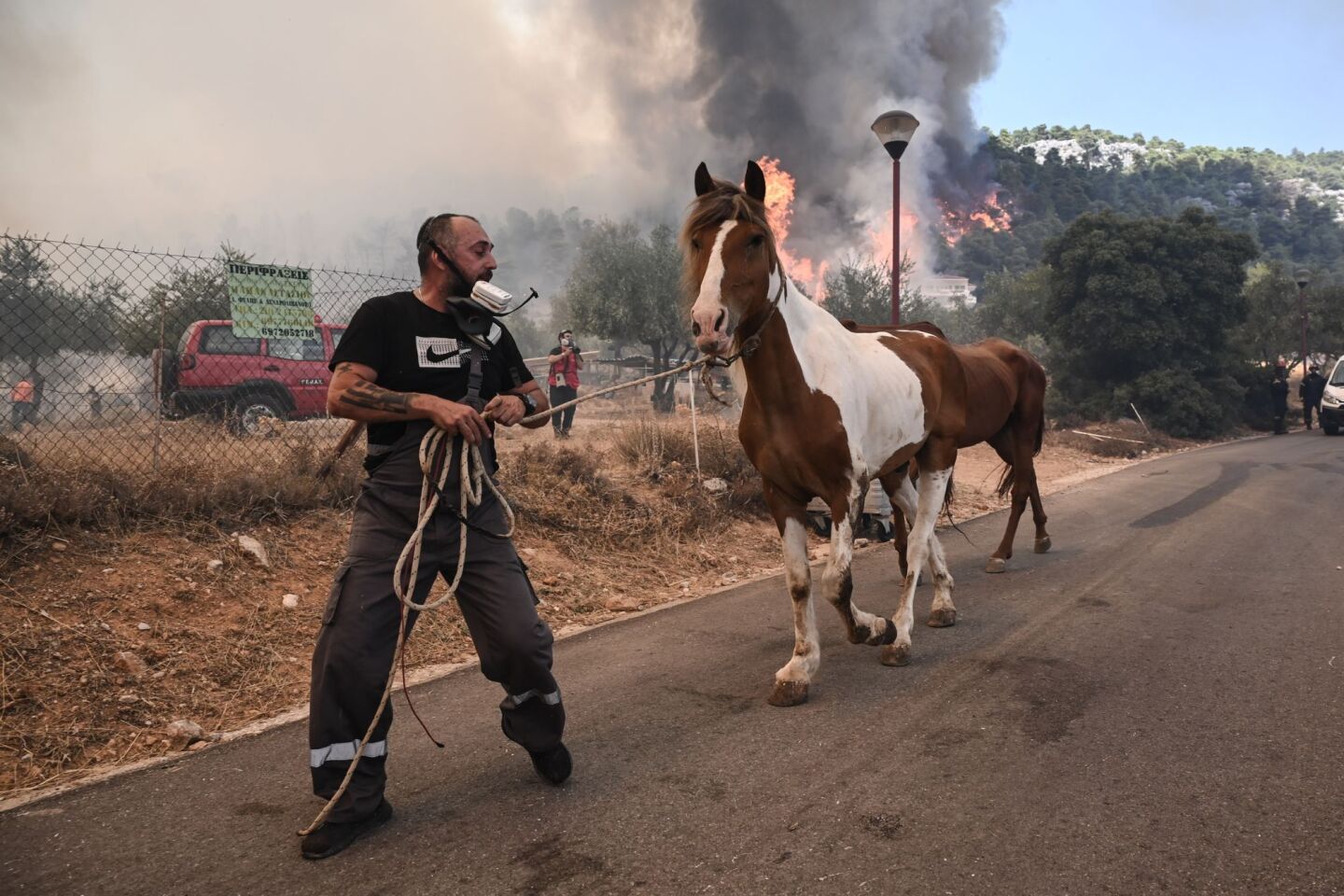 Πύρινο μέτωπο στη Φυλή ©Nephele Nomikou/ SOOC
