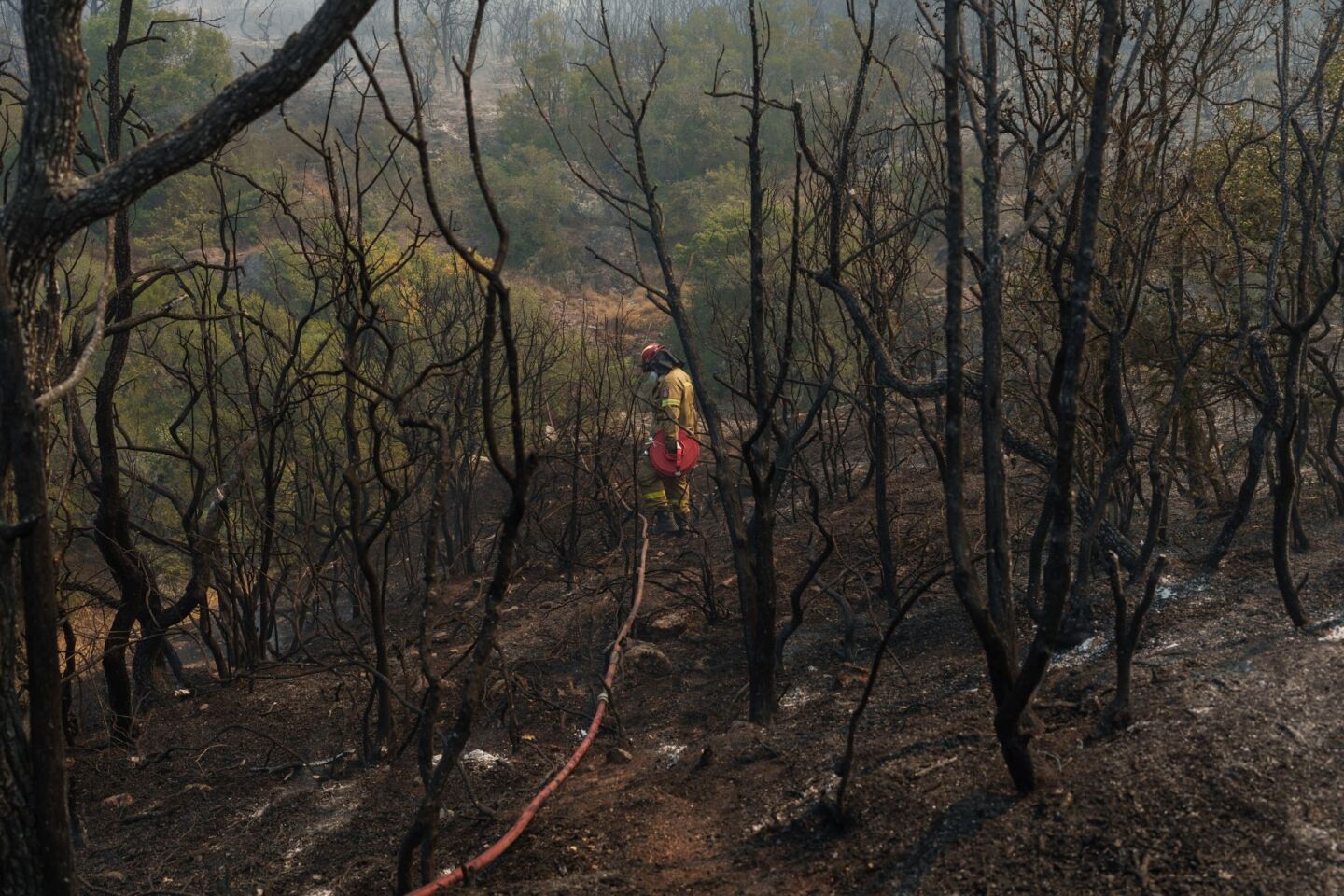 Αποκαρδιωτική εικόνα από την καταστροφή στην Αλεξανδρούπολη ©Konstantinos Tsakalidis / SOOC