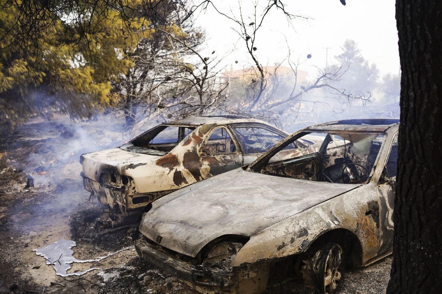Καταστροφή αφήνει στο πέρασμά της η φωτιά στο Μενίδι ©Giannis Boziaris / SOOC