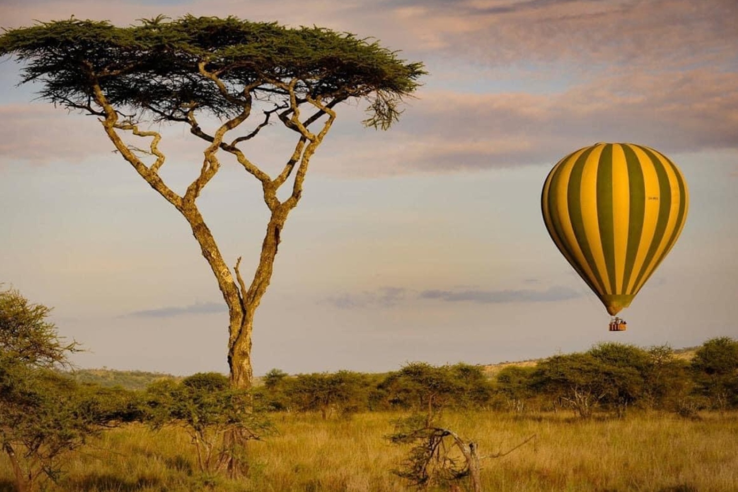 ένα αερόστατο σε ένα τοπίο στην Τανζανία