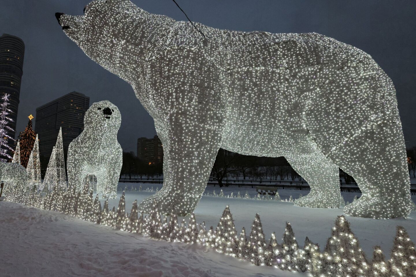 Τεράστια φωτεινά γλυπτά πολικών αρκούδων τοποθετήθηκαν  στη Μόσχα της Ρωσίας 