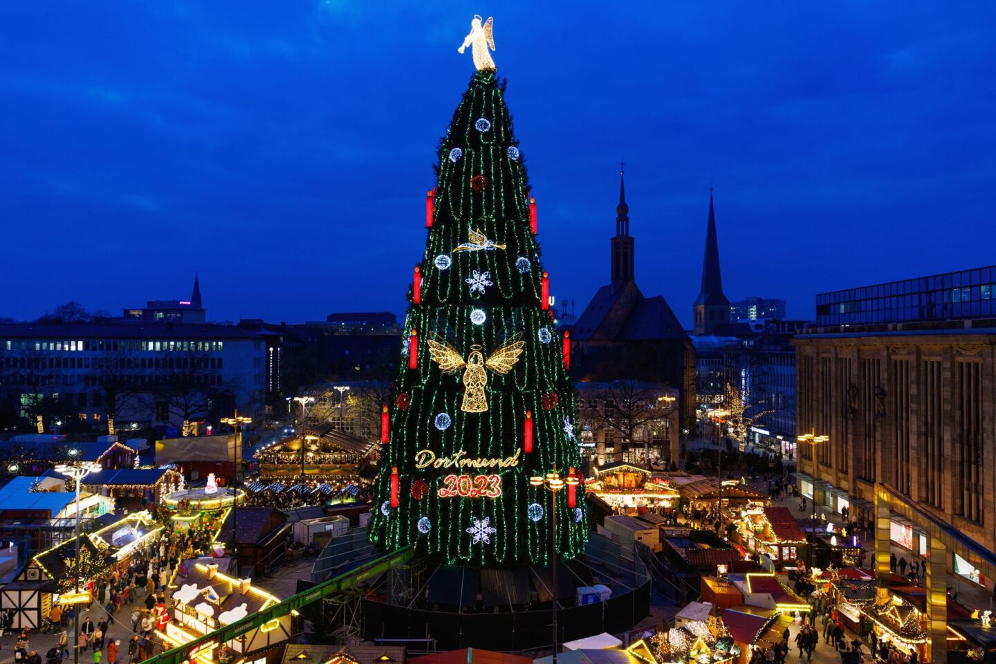 Ένα από τα ψηλότερα δέντρα του κόσμου βρίσκεται στο Ντόρτμουντ της Γερμανίας