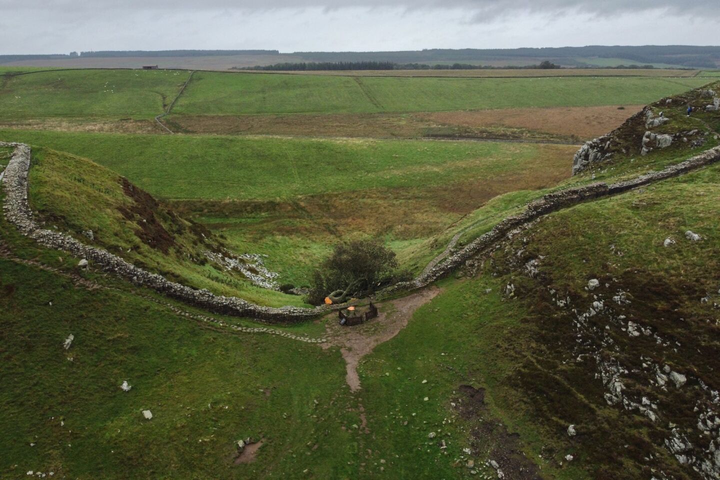 Το δένδρο του Sycamore Gap στη Βρετανία βρέθηκε κομμένο με ηλεκτρικό πριόνι στις 5 Οκτωβρίου