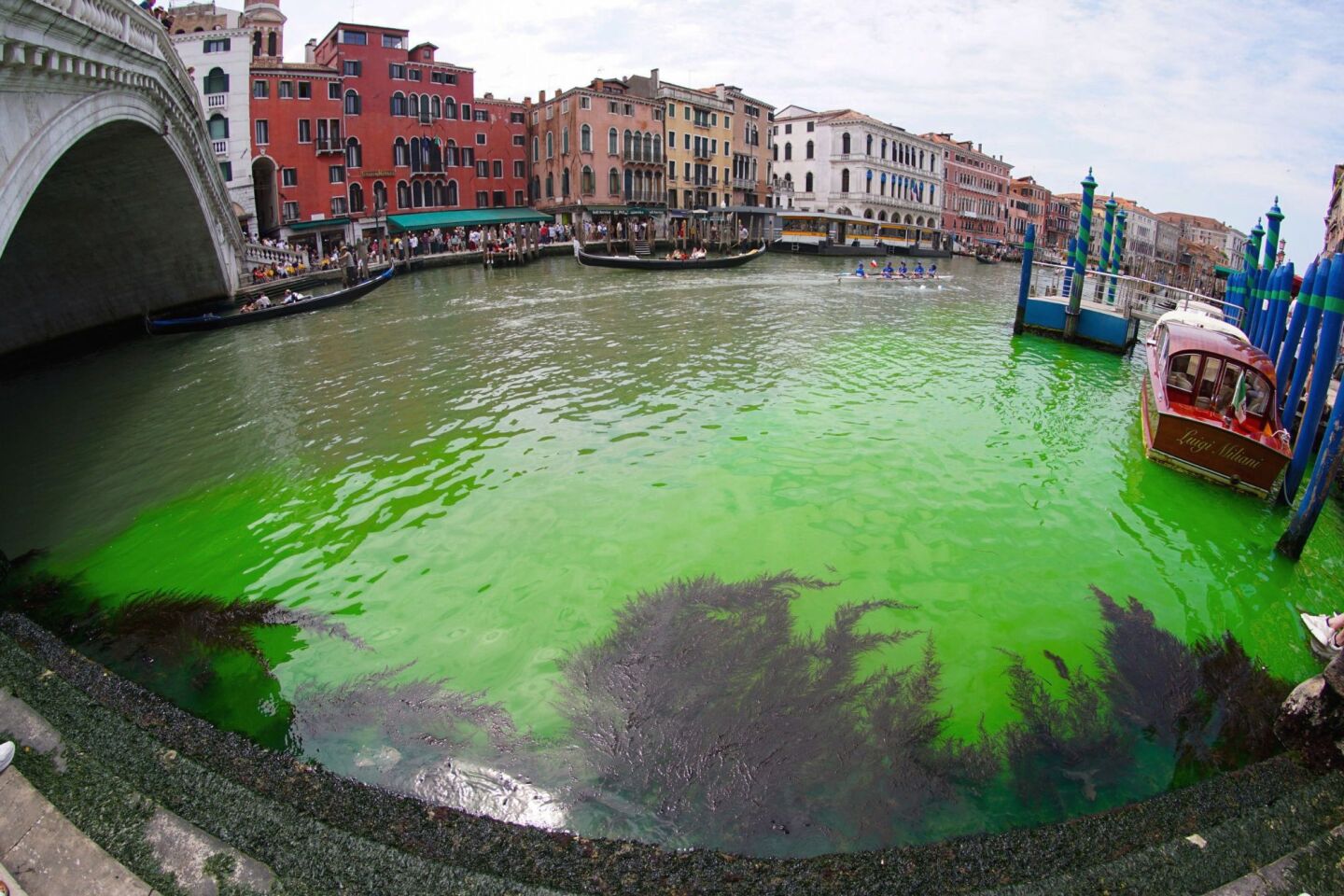 Μια κηλίδα φθορίζοντος πράσινου νερού που εμφανίστηκε στο διάσημο μεγάλο Κανάλι της Βενετίας στην Ιταλία 