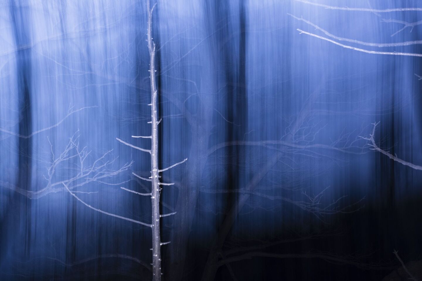 Στιγμιότυπο από την Πάρνηθα μετά την καταστροφική φωτιά, 1η Σεπτεμβρίου 2023 