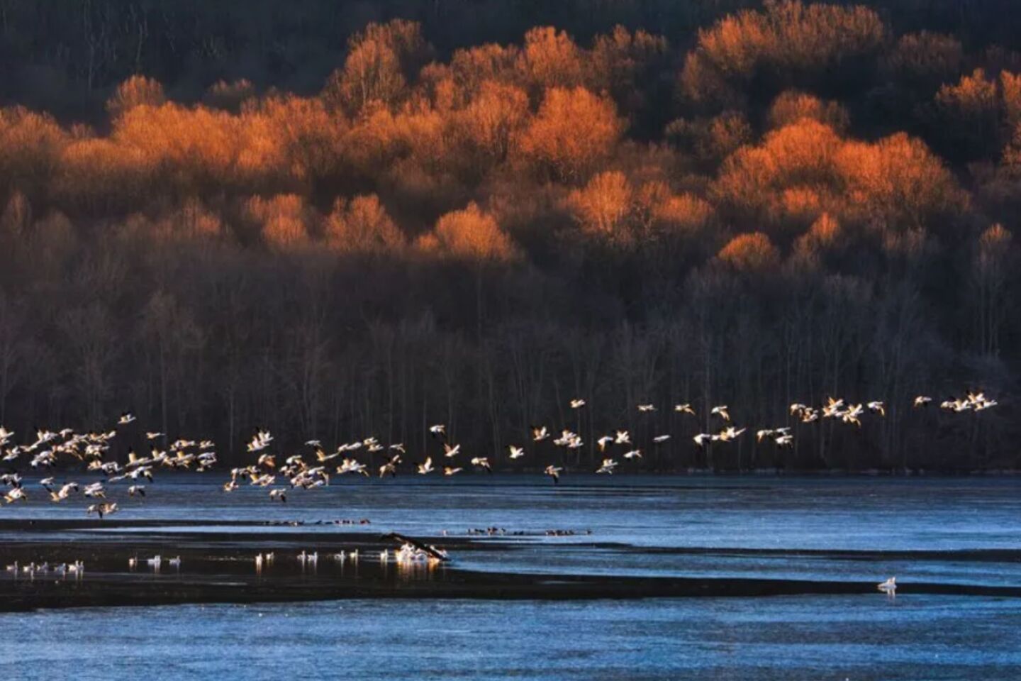 Βραβείο «Young Travel Photographer of the Year» 15-18 ετών στη 17χρονη Lilly Zhang ( Πενσυλβάνια)