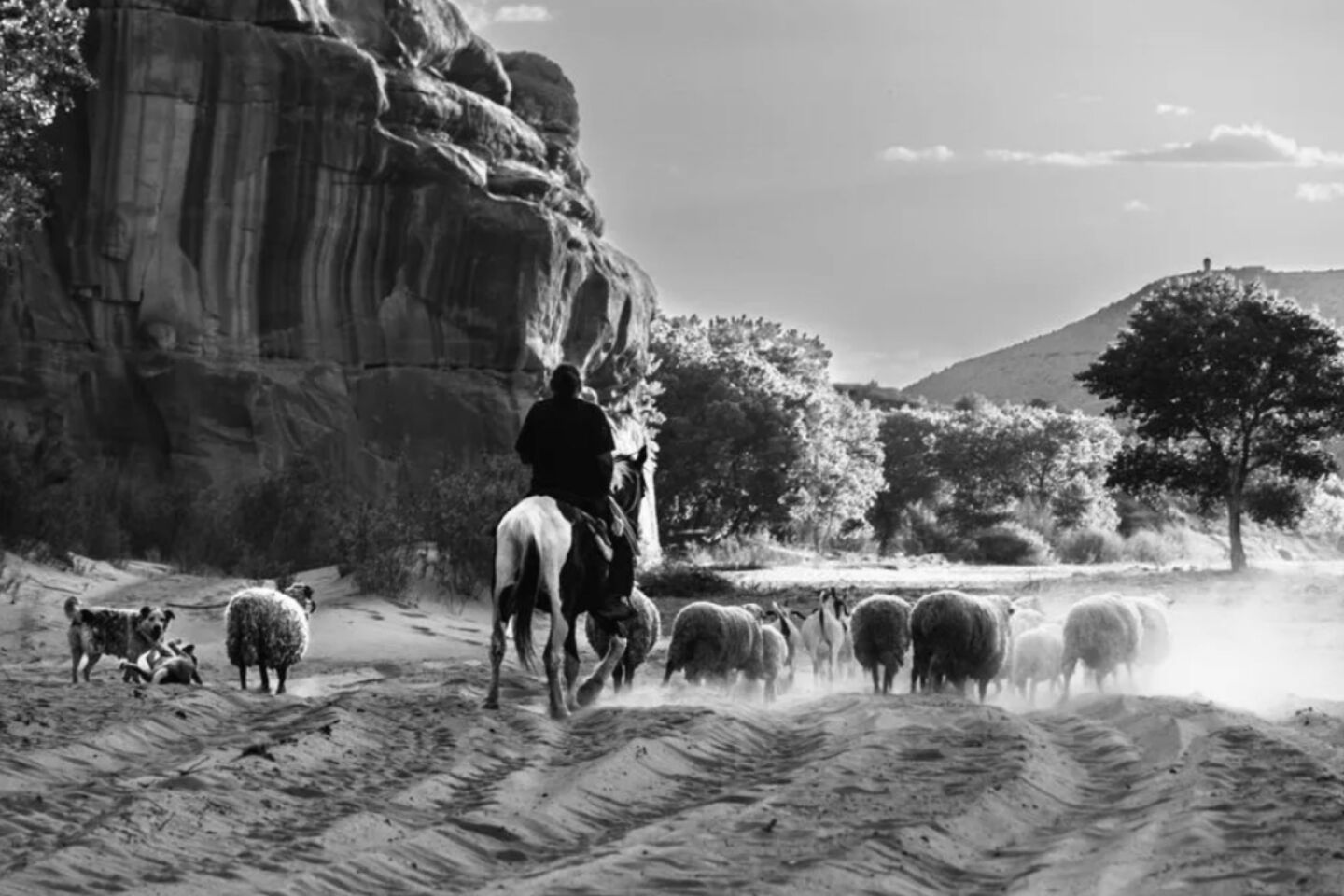 Bραβείο «Young Travel Photographer of the Year» στη 14χρονη Caden Shepard Choi (Αριζόνα, ΗΠΑ)