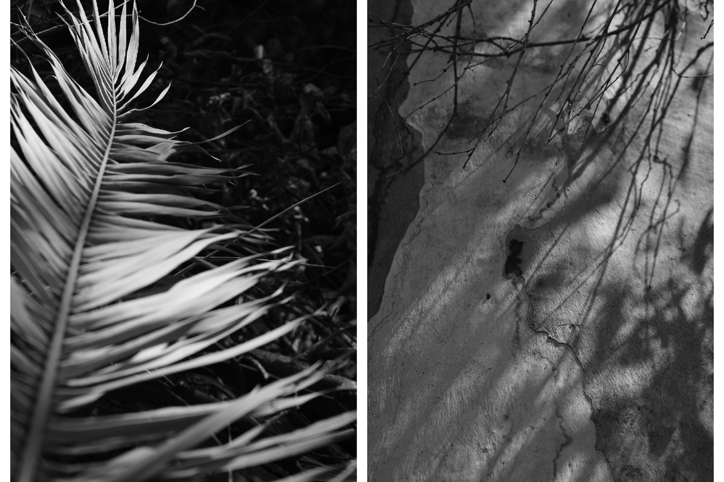 «Αθήνα, μέσα από τα μάτια των Ουκρανών»: Έκθεση φωτογραφίας από την IRC Hellas