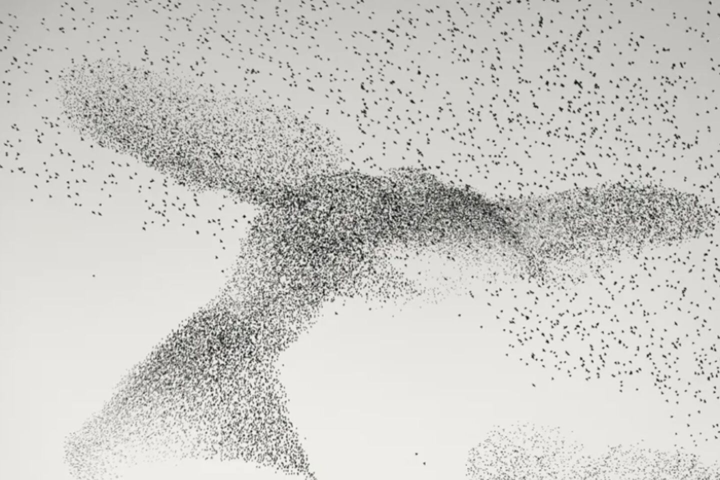 Ο Daniel Dencescu ξόδεψε ώρες ακολουθώντας τα ψαρόνια στην πόλη και τα προάστια της Ρώμης