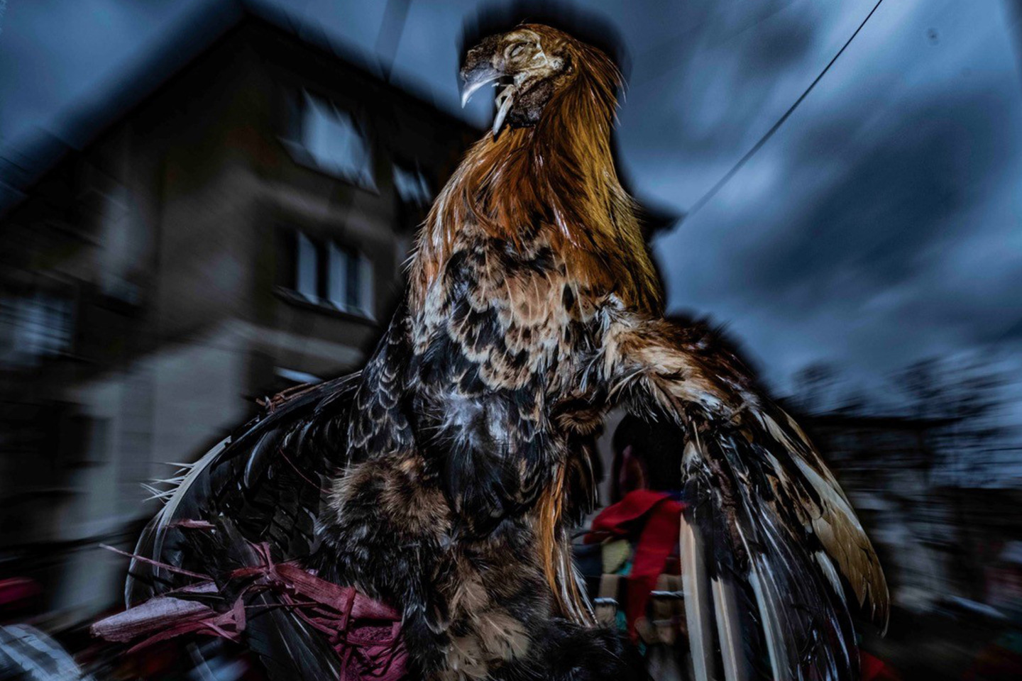 Surva Festival: Ένα Photo Story του Τάσσου Βρετού από την καρναβαλική γιορτή στη Βουλγαρία