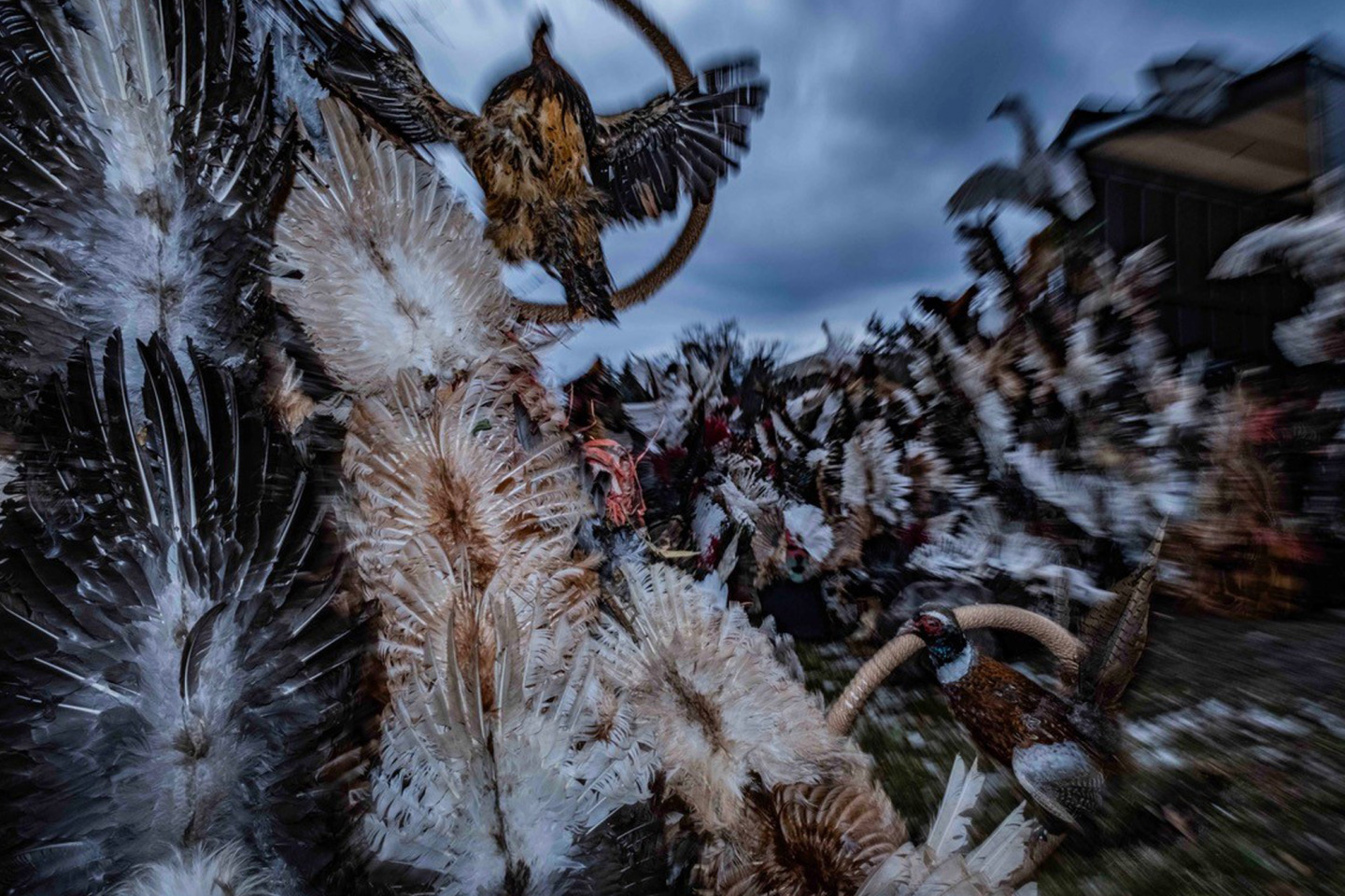 Surva Festival: Ένα Photo Story του Τάσσου Βρετού από την καρναβαλική γιορτή στη Βουλγαρία