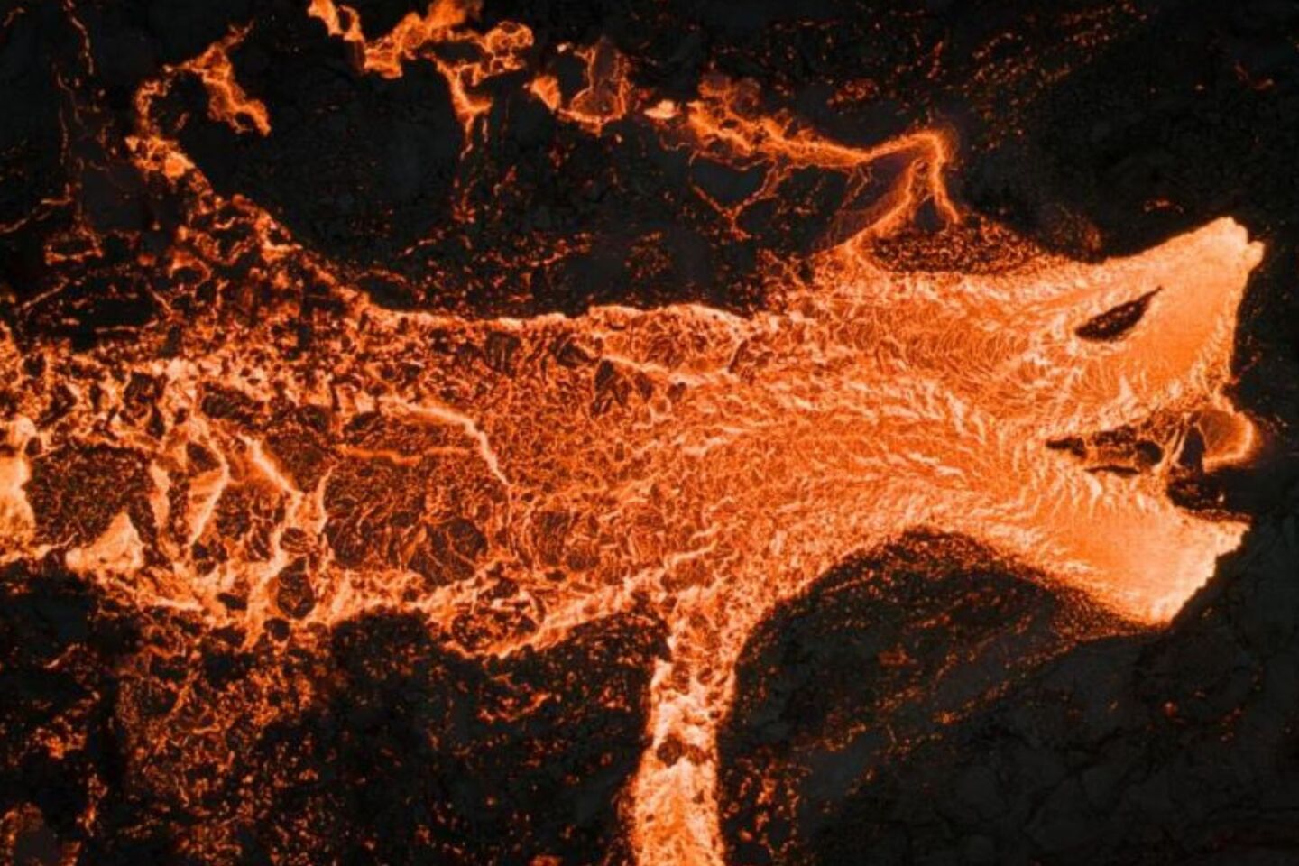 Elddreki / Fire Dragon 