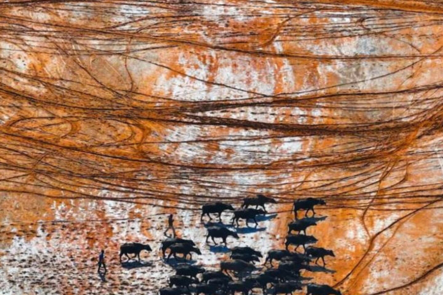 Marching in the Salt Marsh