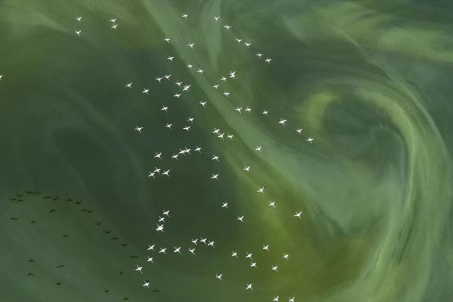 Stay Where your Heat smiles