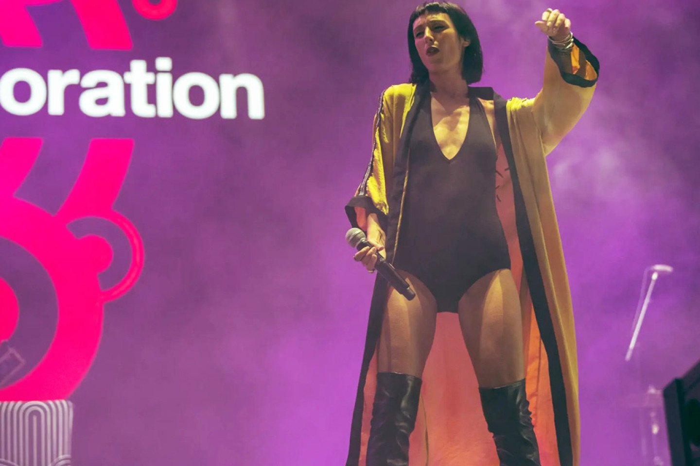 Thievery Corporation