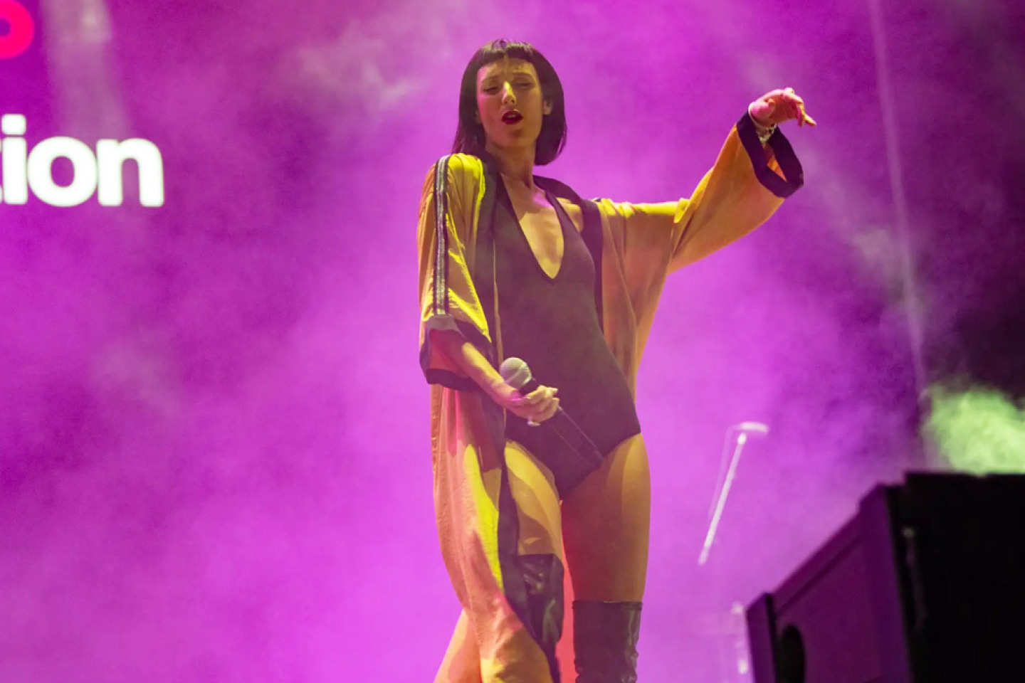 Thievery Corporation