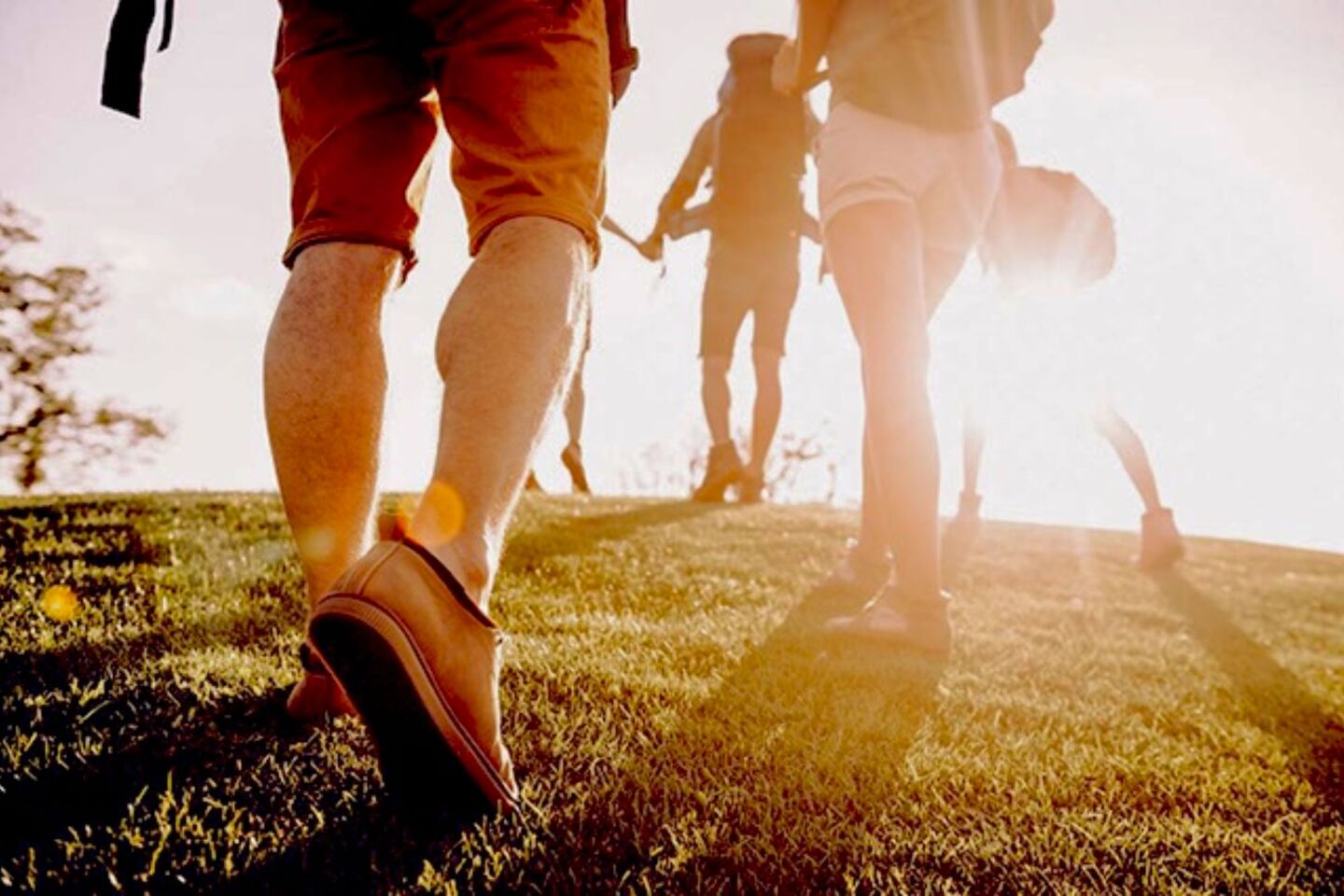 Στην Κορωνησία με το σύνθημα «Σώστε τον Αμβρακικό»