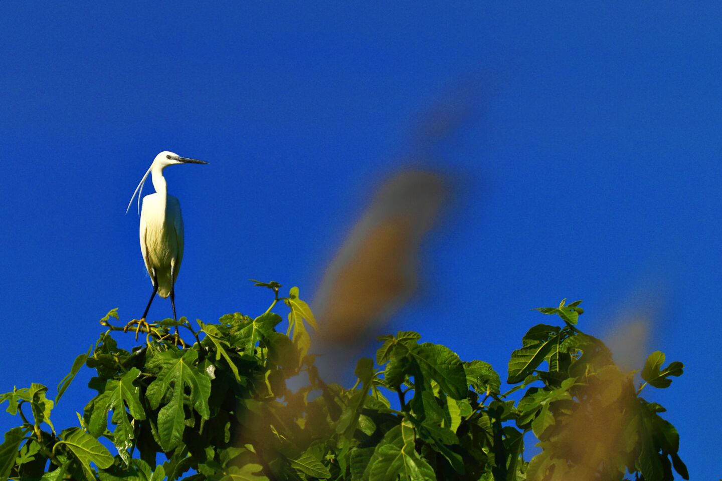 Στην Κορωνησία με το σύνθημα «Σώστε τον Αμβρακικό»