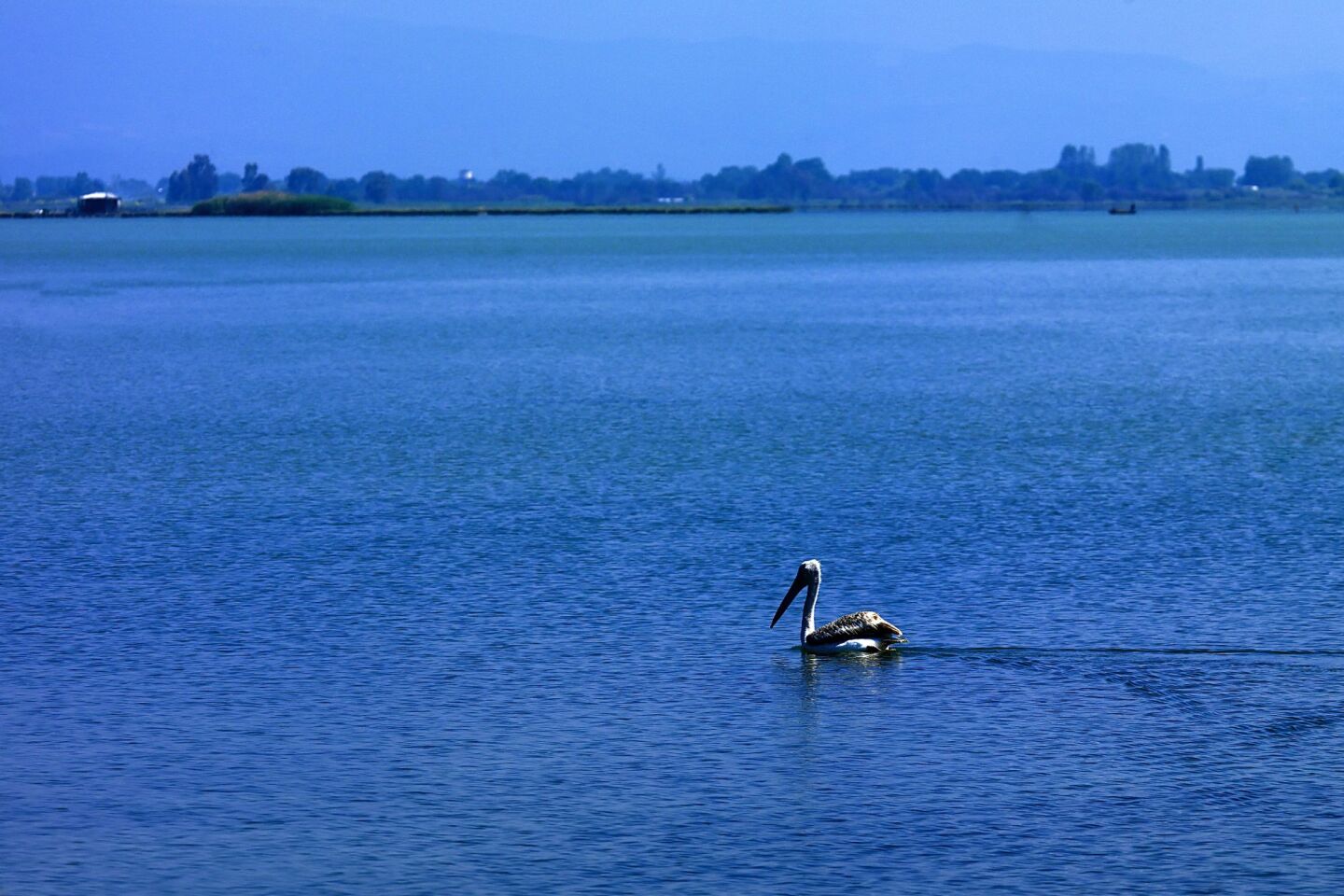 Στην Κορωνησία με το σύνθημα «Σώστε τον Αμβρακικό»