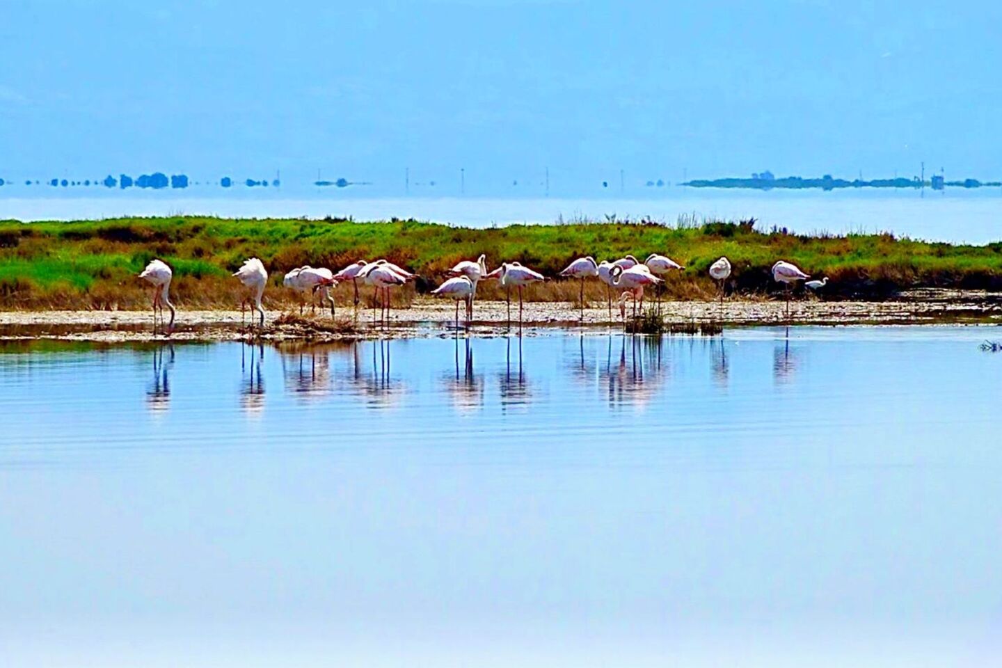 Στην Κορωνησία με το σύνθημα «Σώστε τον Αμβρακικό»