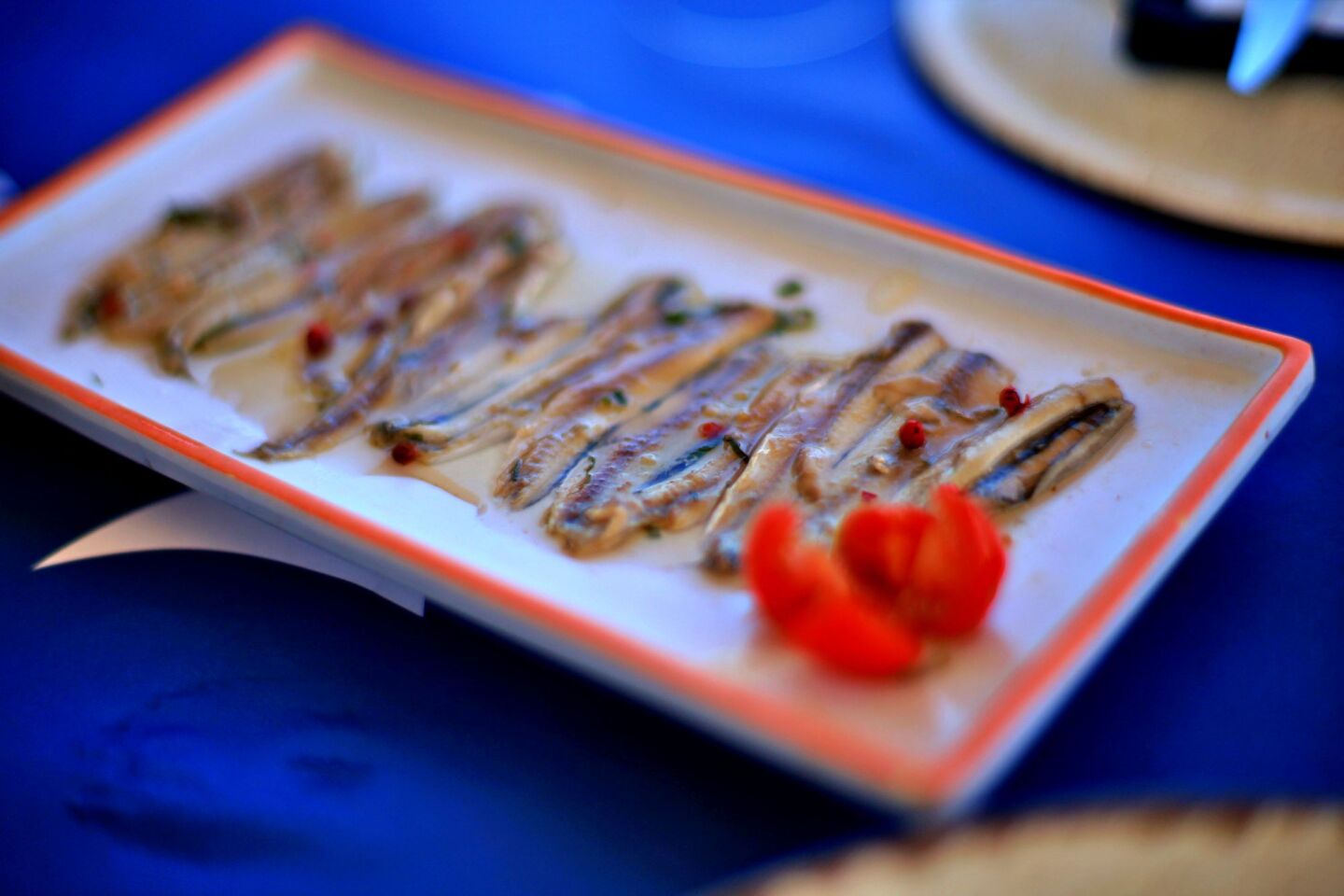 Στην Κορωνησία με το σύνθημα «Σώστε τον Αμβρακικό»