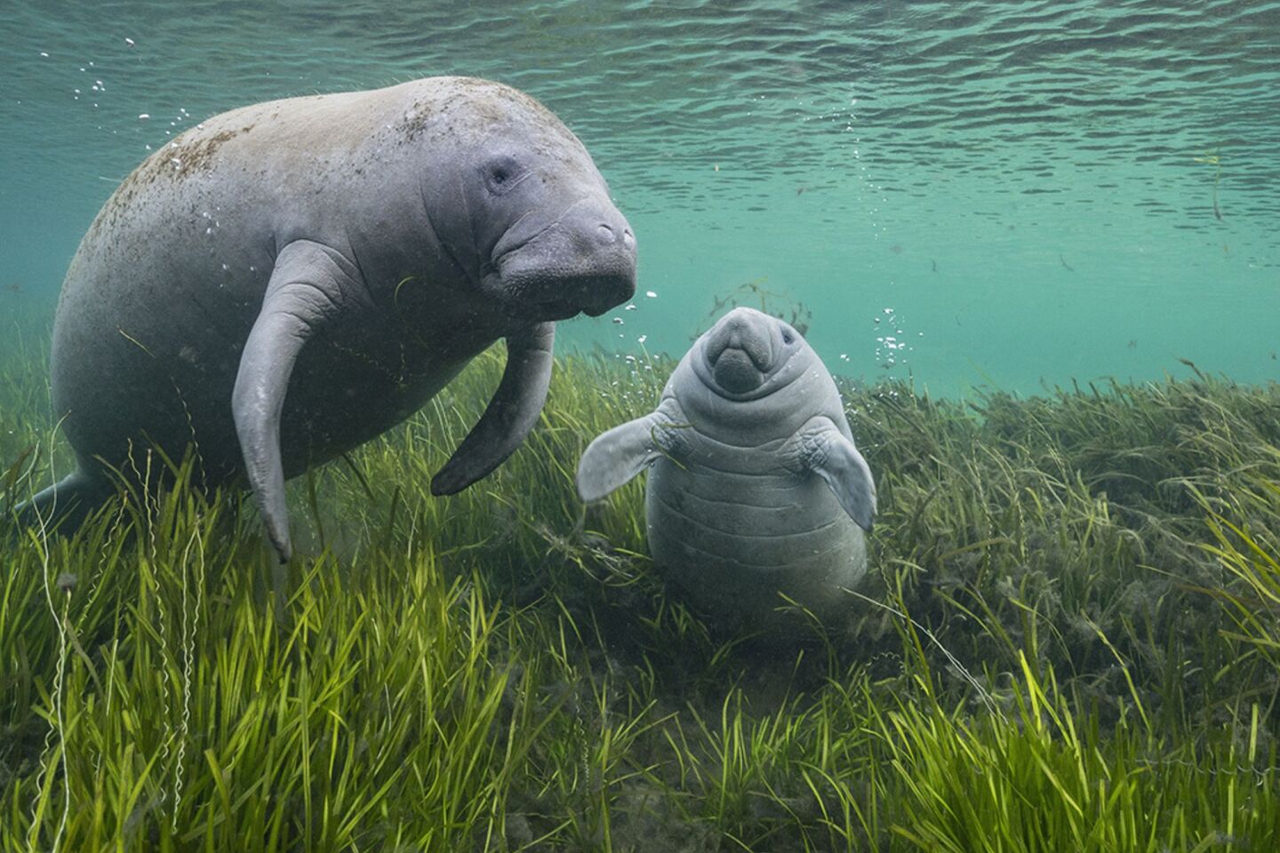 «Καθαρά σαν κρύσταλλο»