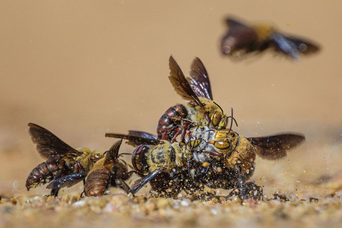 «Το Κέντρο της Προσοχής»