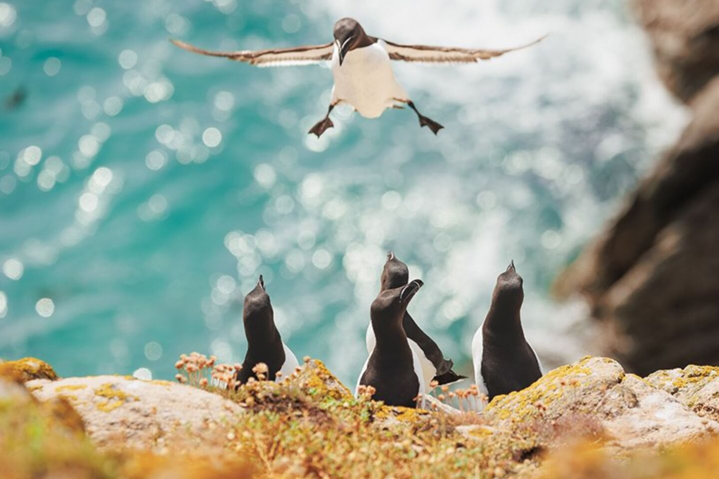 Comedy Wildlife Photography Awards: Μερικές από τις πιο ξεκαρδιστικές εικόνες