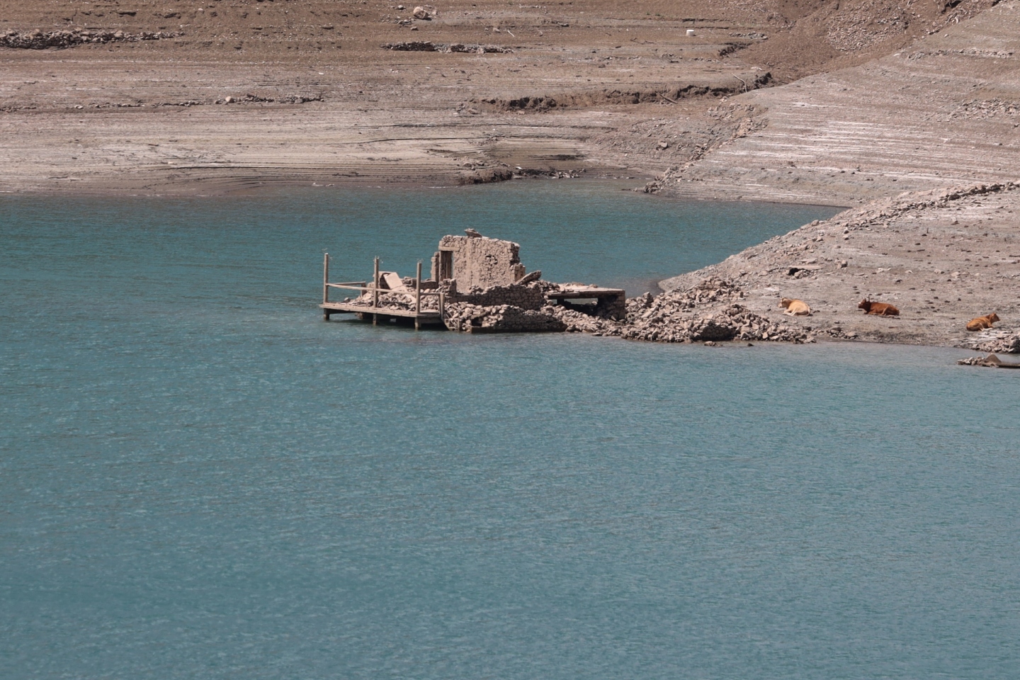 Μια φωτογραφία μου για το 2024