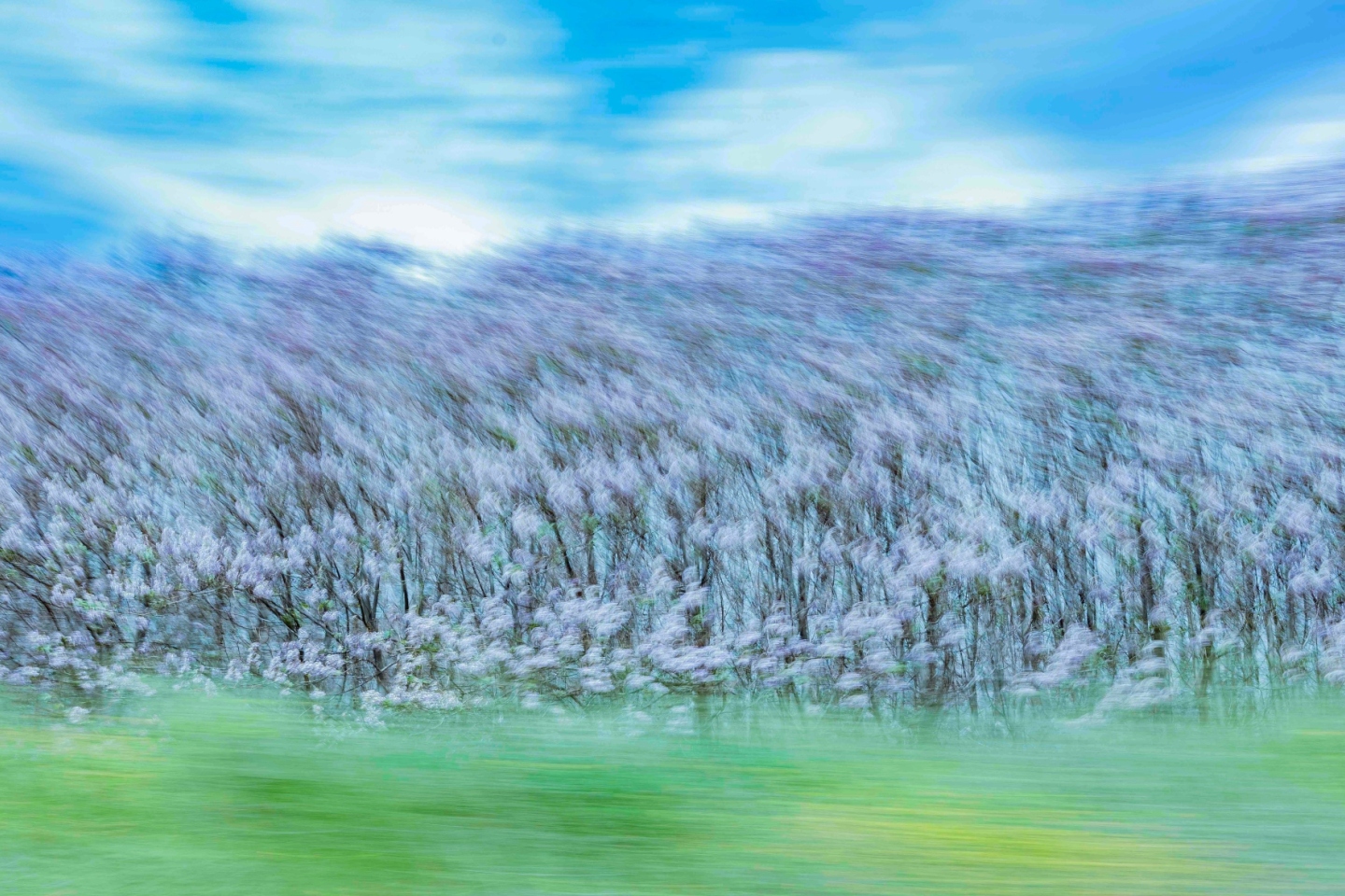 Τάσος Βρεττός