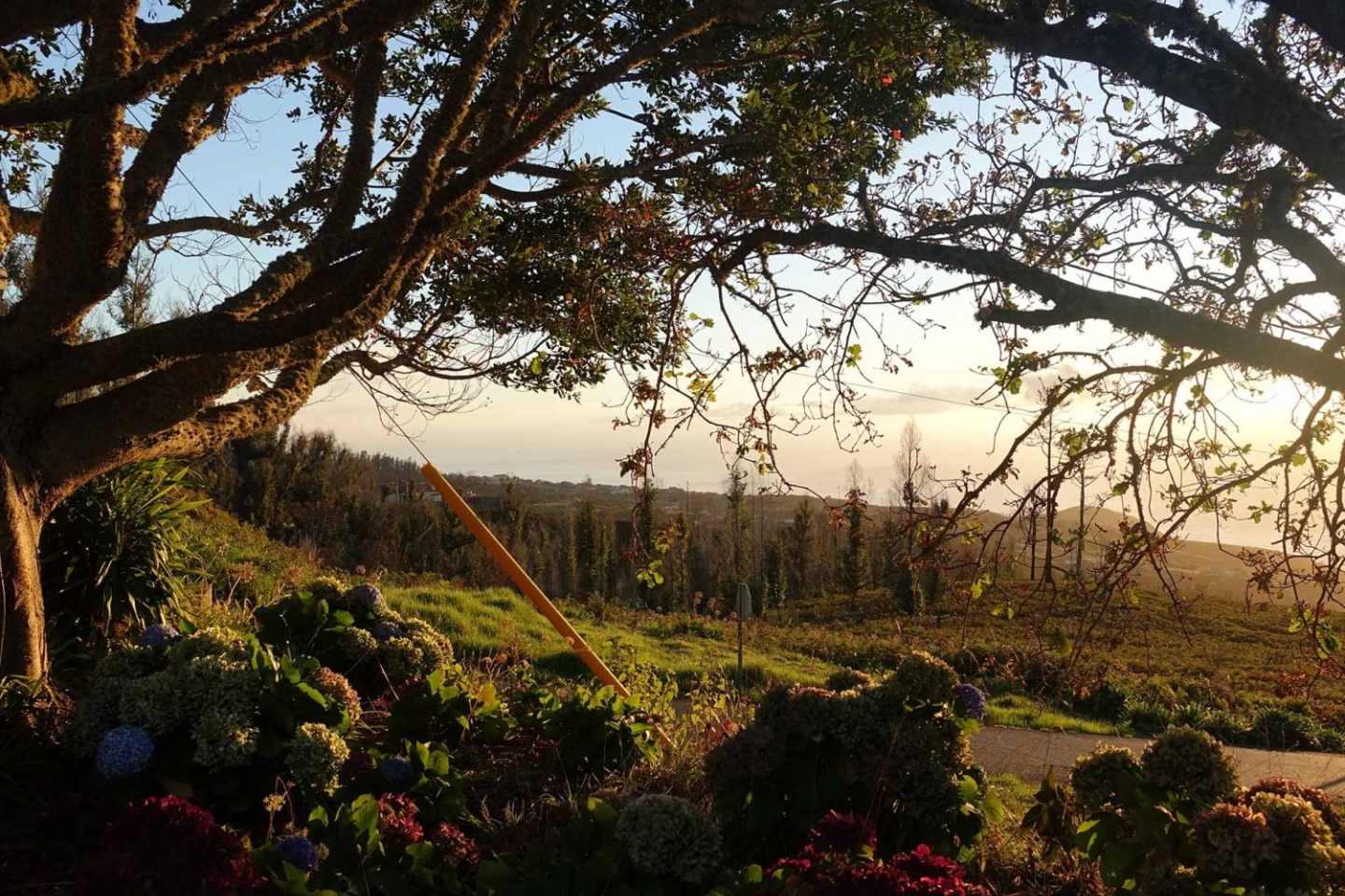 Μαδέρα: Δουλεύοντας ως εργάτης γης σε έναν τροπικό παράδεισο