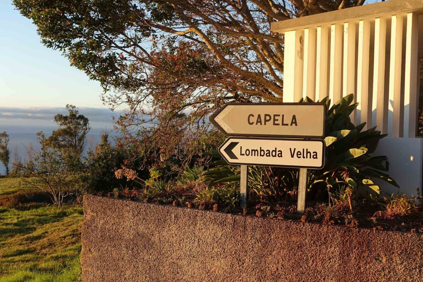 Μαδέρα: Δουλεύοντας ως εργάτης γης σε έναν τροπικό παράδεισο