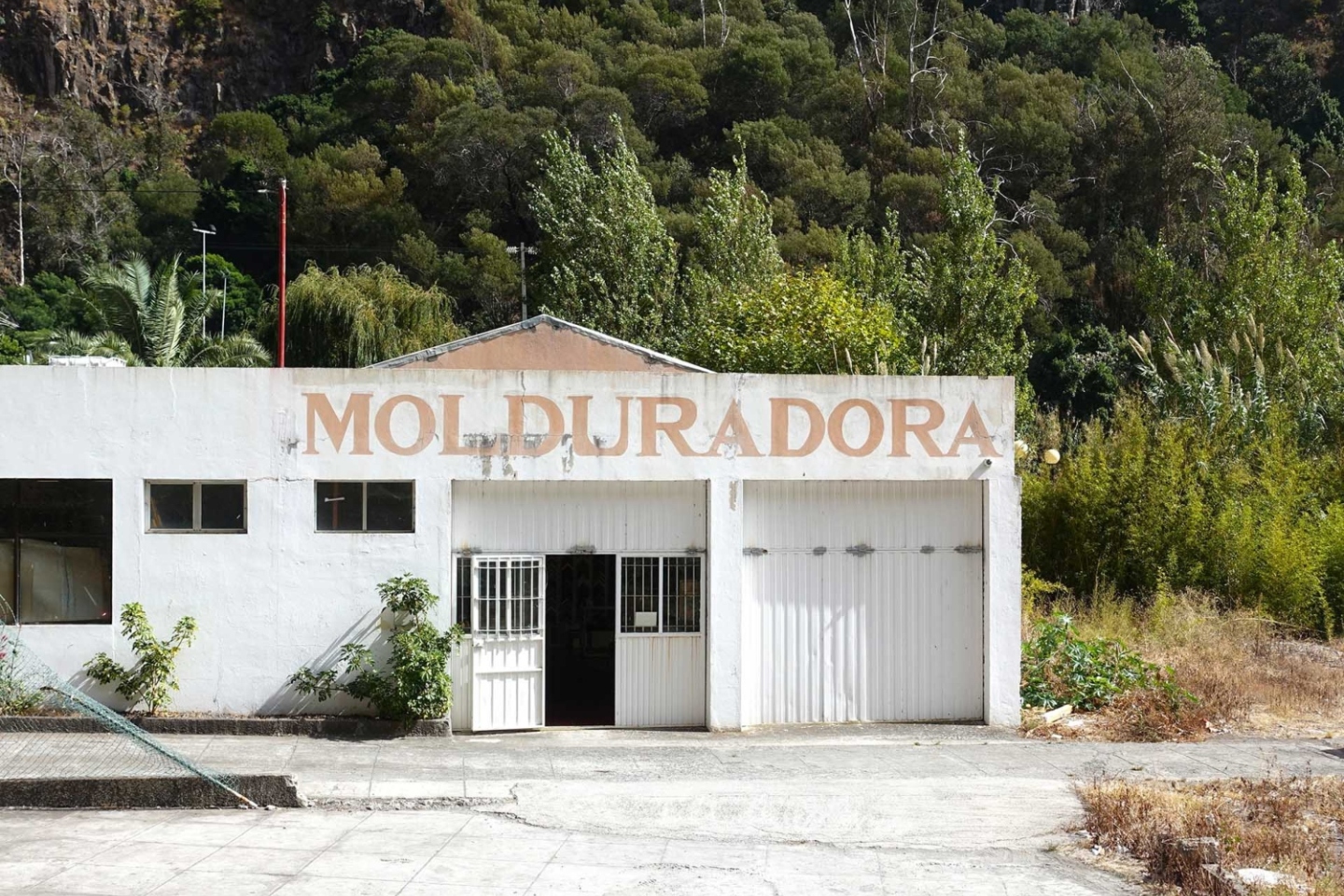 Μαδέρα: Δουλεύοντας ως εργάτης γης σε έναν τροπικό παράδεισο