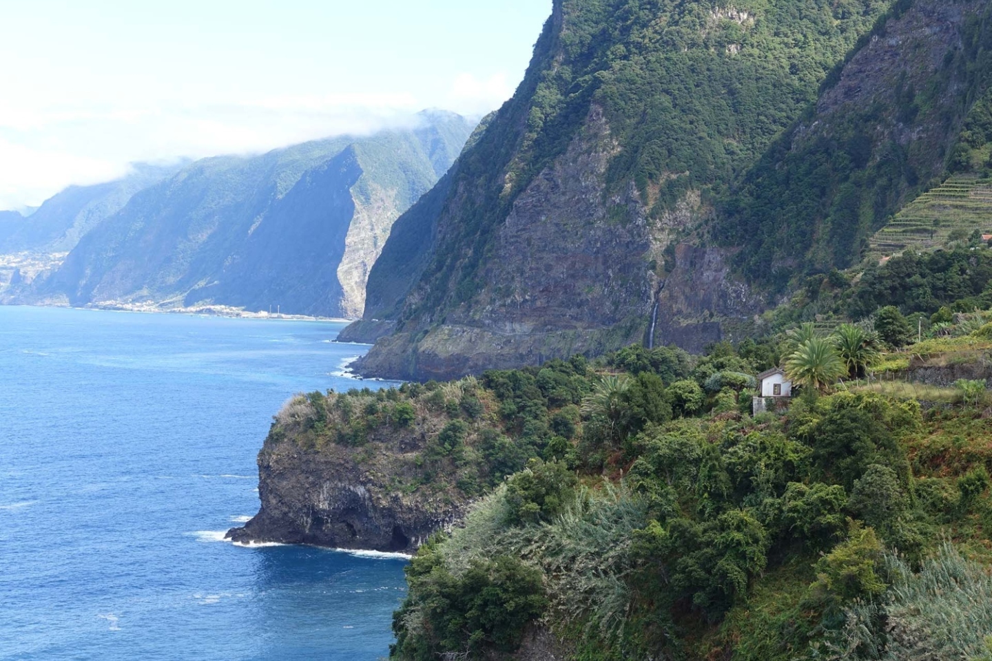 Μαδέρα: Δουλεύοντας ως εργάτης γης σε έναν τροπικό παράδεισο