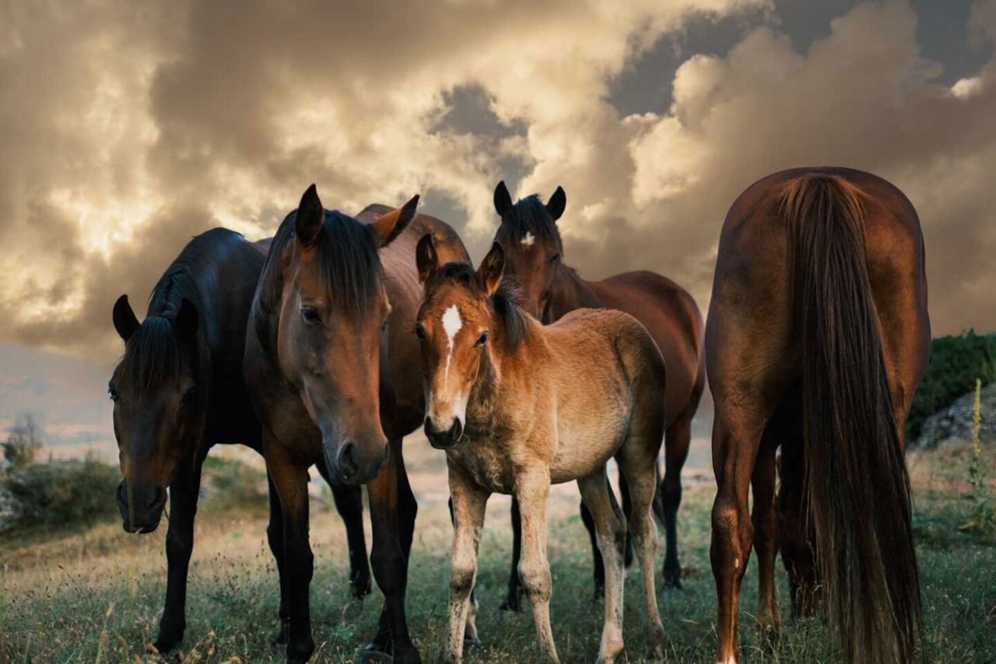 Unveiled: The Fine Art Lens of NikZik | Μια διαφορετική αναδρομική έκθεση