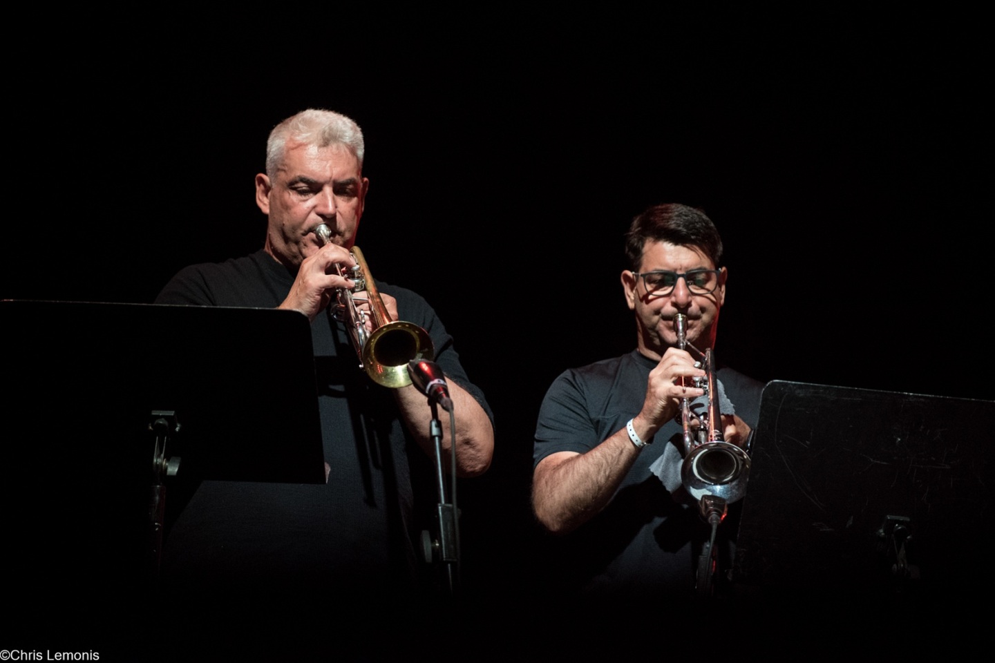 Rockwave Festival 2025: Ανταπόκριση-φωτορεπορτάζ από την ιστορική εμφάνιση του Διονύση Σαββόπουλου στη Μαλακάσα