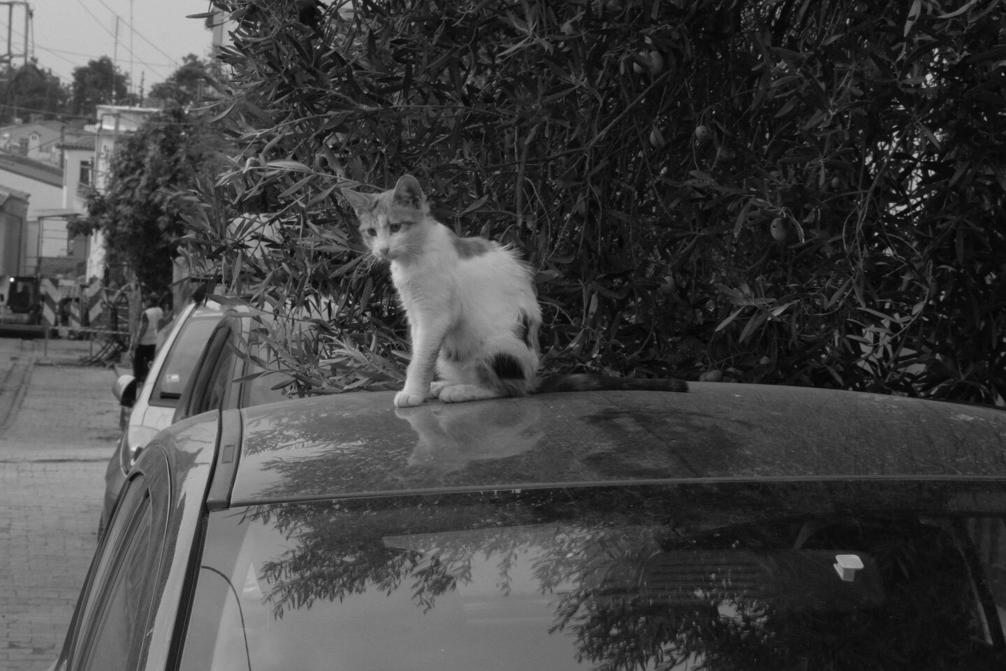 Θεσσαλονίκη