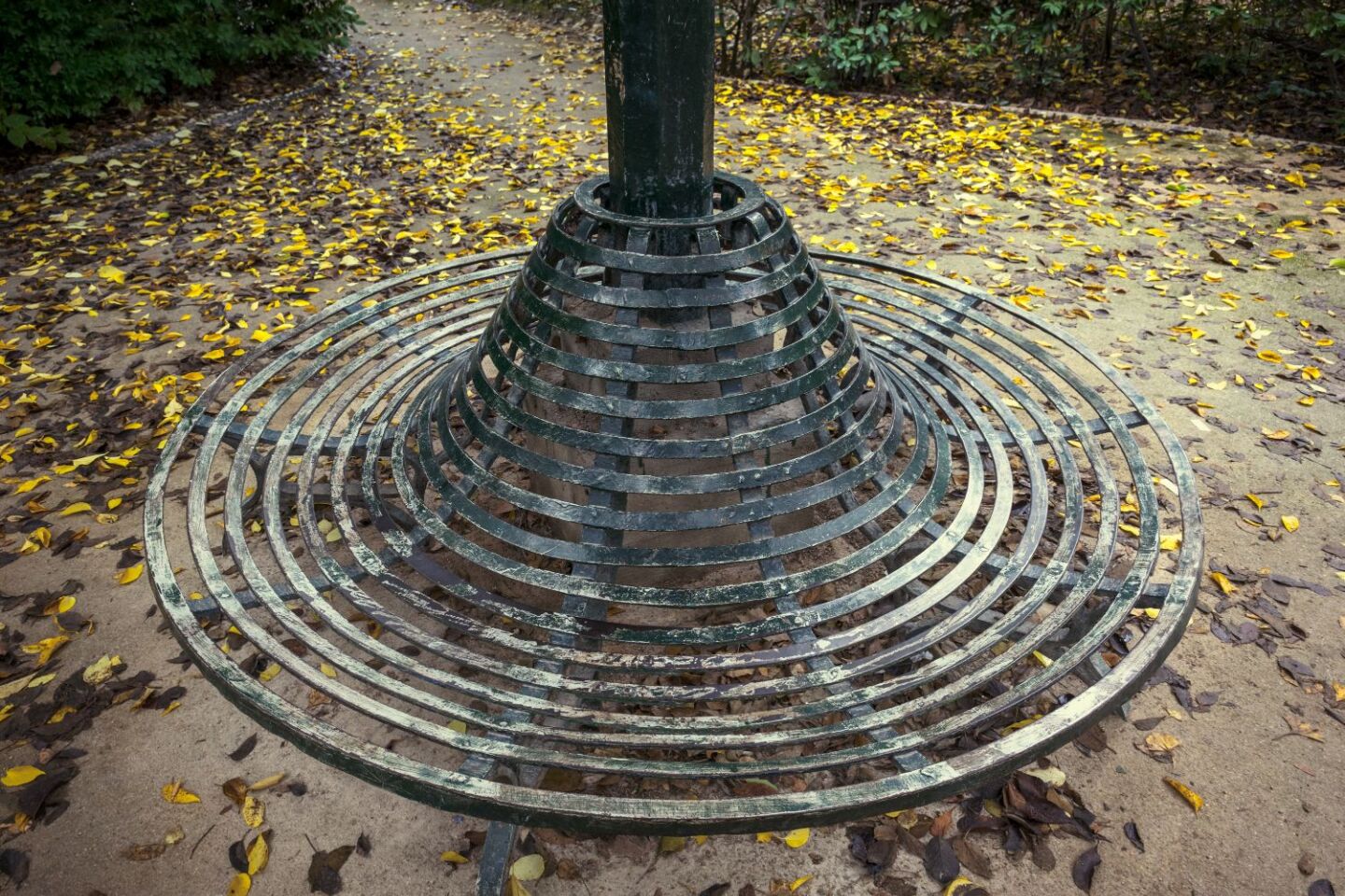 Ο Βασίλης Μακρής φωτογραφίζει τον Εθνικό Κήπο χωρίς ανθρώπους, αναδεικνύοντας τη συνύπαρξη φύσης, ιστορίας και μνήμης.