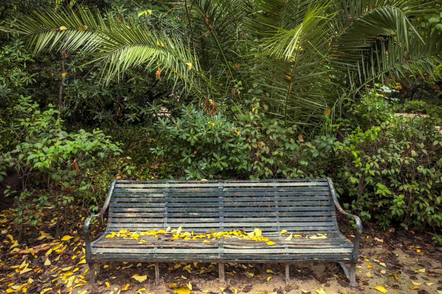 Ο Βασίλης Μακρής φωτογραφίζει τον Εθνικό Κήπο χωρίς ανθρώπους, αναδεικνύοντας τη συνύπαρξη φύσης, ιστορίας και μνήμης.