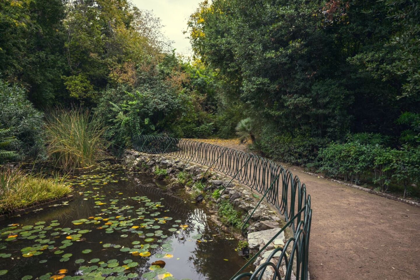 Ο Βασίλης Μακρής φωτογραφίζει τον Εθνικό Κήπο χωρίς ανθρώπους, αναδεικνύοντας τη συνύπαρξη φύσης, ιστορίας και μνήμης.