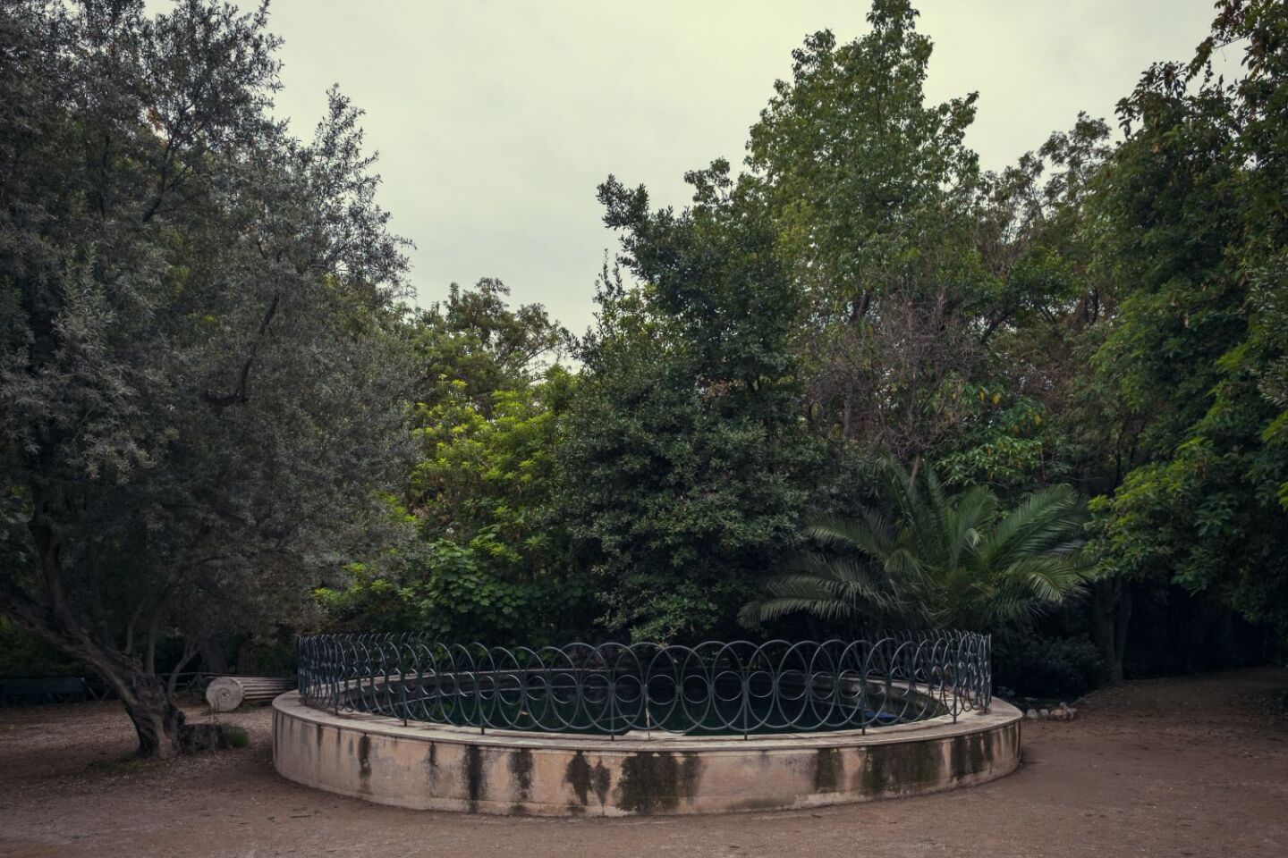 Ο Βασίλης Μακρής φωτογραφίζει τον Εθνικό Κήπο χωρίς ανθρώπους, αναδεικνύοντας τη συνύπαρξη φύσης, ιστορίας και μνήμης.