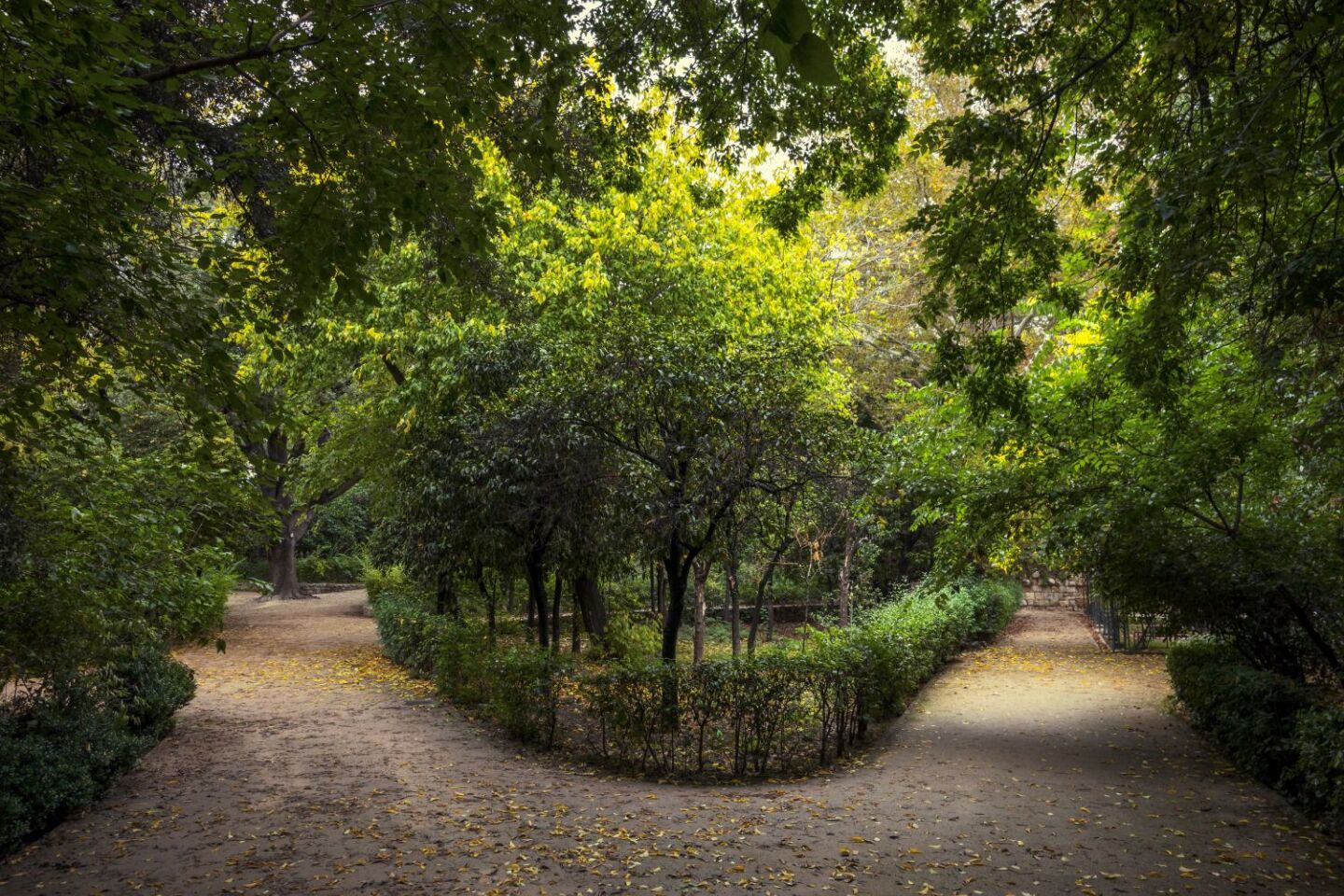 Ο Βασίλης Μακρής φωτογραφίζει τον Εθνικό Κήπο χωρίς ανθρώπους, αναδεικνύοντας τη συνύπαρξη φύσης, ιστορίας και μνήμης.