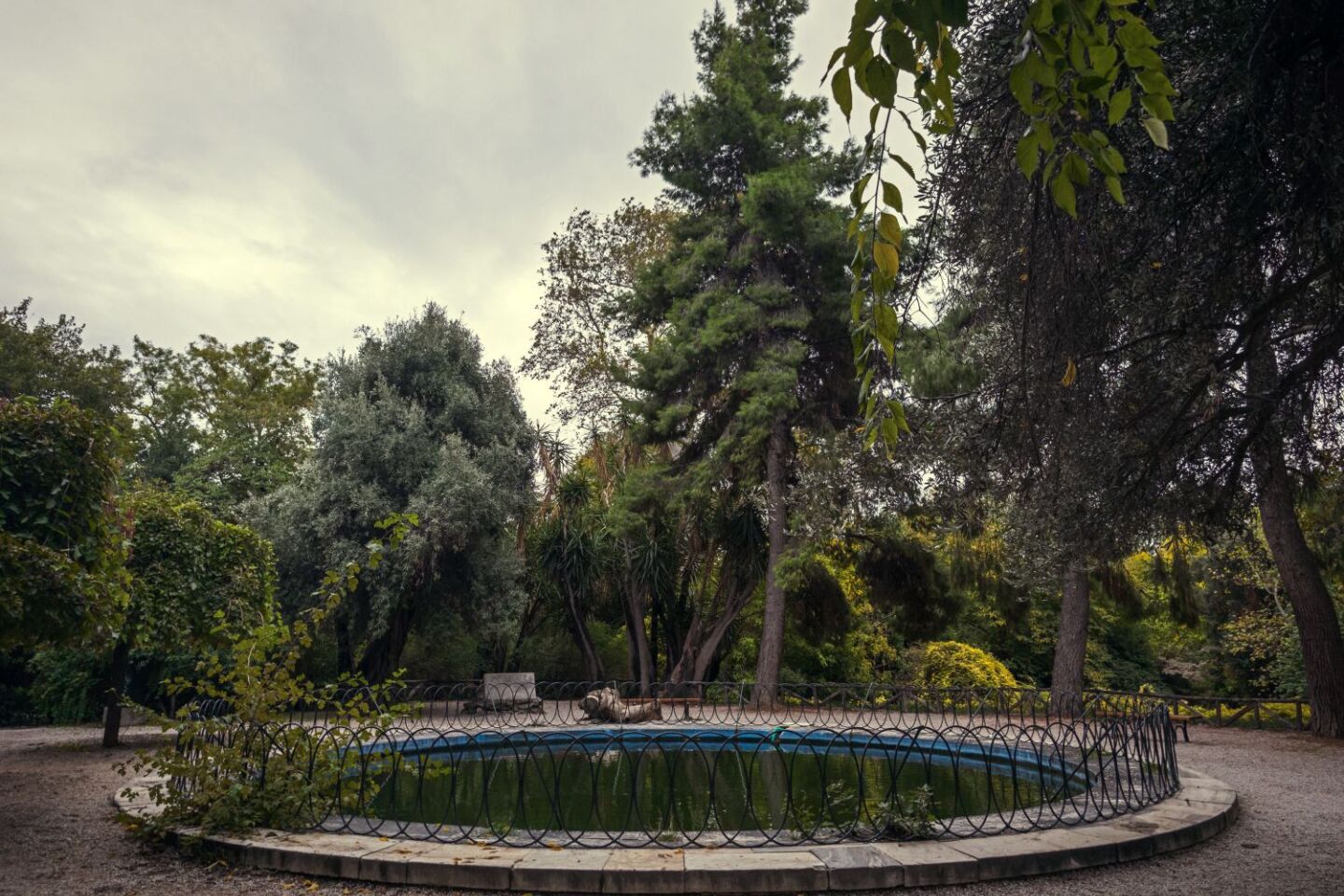 Ο Βασίλης Μακρής φωτογραφίζει τον Εθνικό Κήπο χωρίς ανθρώπους, αναδεικνύοντας τη συνύπαρξη φύσης, ιστορίας και μνήμης.