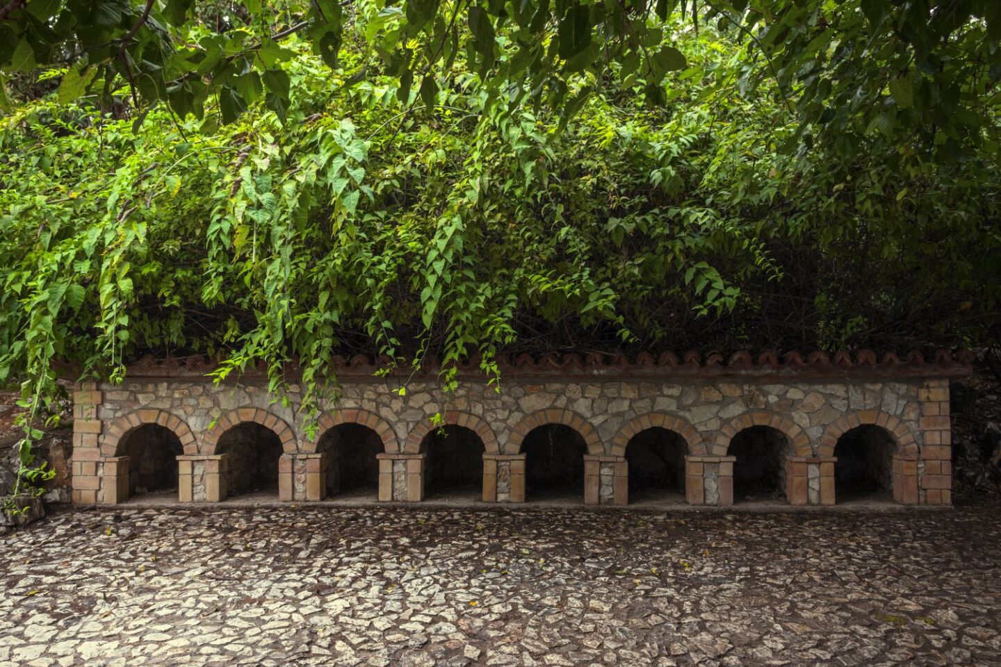 Ο Βασίλης Μακρής φωτογραφίζει τον Εθνικό Κήπο χωρίς ανθρώπους, αναδεικνύοντας τη συνύπαρξη φύσης, ιστορίας και μνήμης.