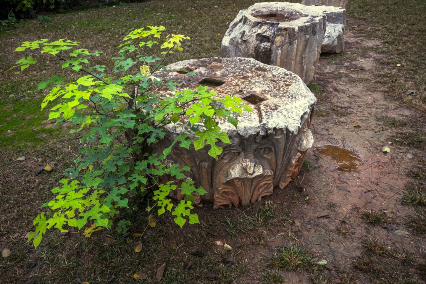 Ο Βασίλης Μακρής φωτογραφίζει τον Εθνικό Κήπο χωρίς ανθρώπους, αναδεικνύοντας τη συνύπαρξη φύσης, ιστορίας και μνήμης.