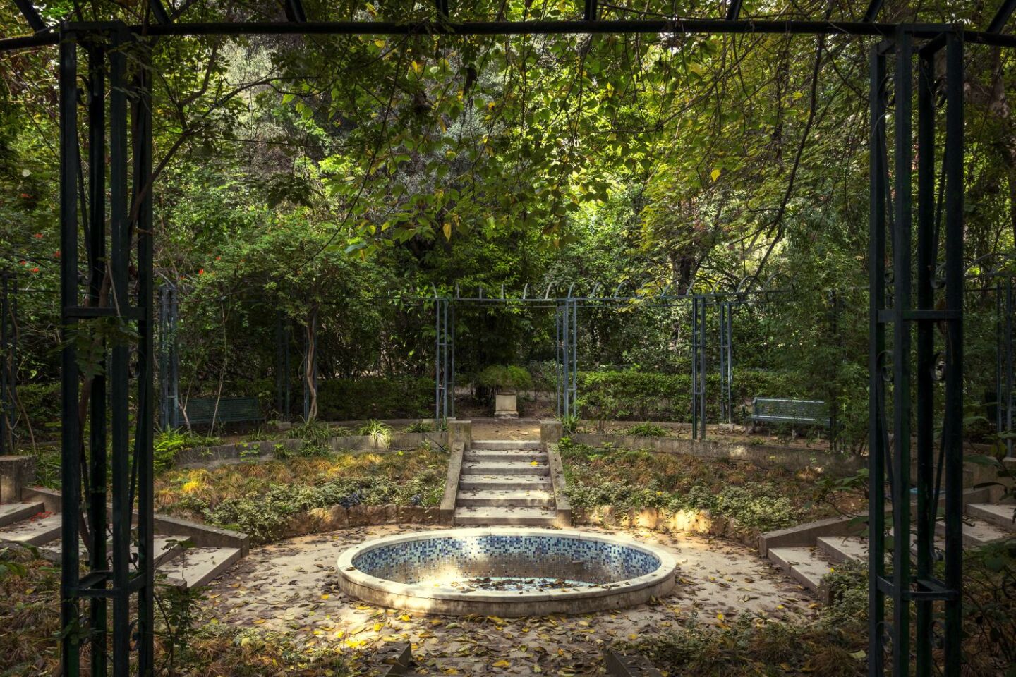 Ο Βασίλης Μακρής φωτογραφίζει τον Εθνικό Κήπο χωρίς ανθρώπους, αναδεικνύοντας τη συνύπαρξη φύσης, ιστορίας και μνήμης.