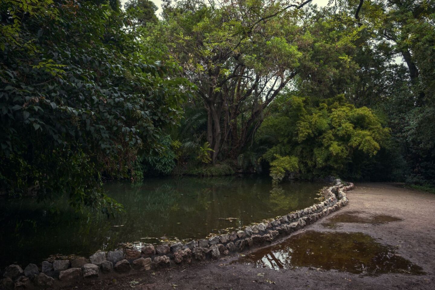 Ο Βασίλης Μακρής φωτογραφίζει τον Εθνικό Κήπο χωρίς ανθρώπους, αναδεικνύοντας τη συνύπαρξη φύσης, ιστορίας και μνήμης.