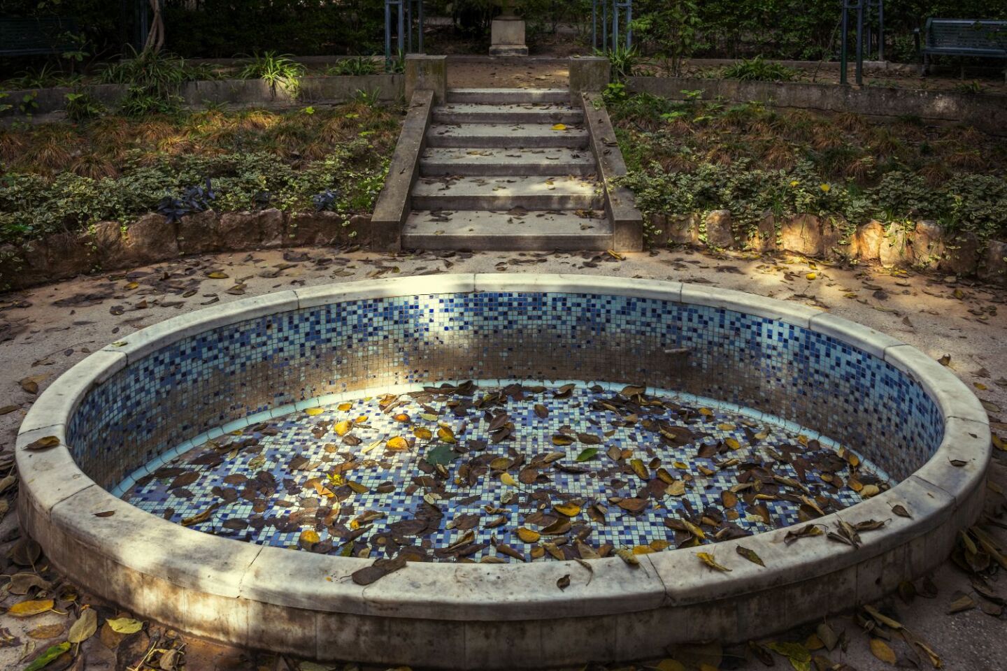 Ο Βασίλης Μακρής φωτογραφίζει τον Εθνικό Κήπο χωρίς ανθρώπους, αναδεικνύοντας τη συνύπαρξη φύσης, ιστορίας και μνήμης.